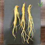Sâm tươi Hàn Quốc 14 củ 700 gram loại 1