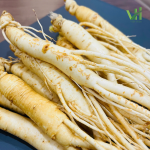 Sâm tươi Hàn Quốc 14 củ 700 gram loại 1