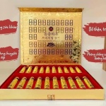 TINH CHẤT ĐÔNG TRÙNG HẠ THẢO 20 ỐNG 130g
